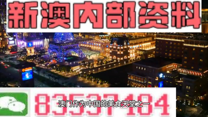 新澳門正版精準免費大全，探索與解析，澳門正版精準資料探索與解析大全