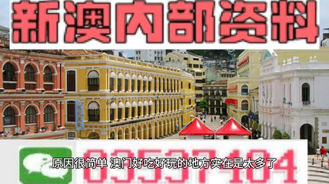 新澳門內(nèi)部免費(fèi)資料精準(zhǔn)大全，探索與解讀，新澳門內(nèi)部免費(fèi)資料精準(zhǔn)探索與深度解讀