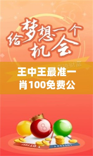 揭秘彩票背后的秘密，探索113期一肖王中王背后的故事，揭秘彩票背后的秘密，探尋第113期生肖彩票王背后的故事