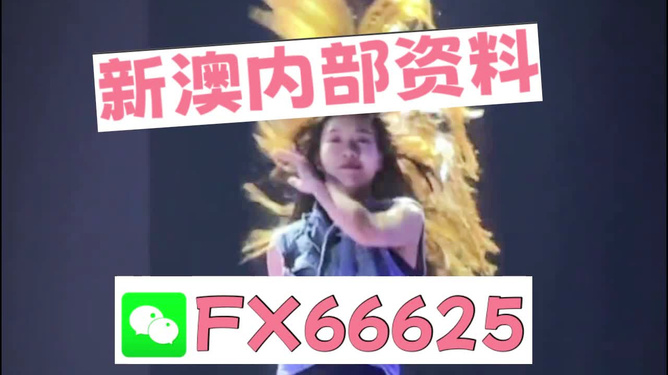 新澳門內(nèi)部一碼精準(zhǔn)公開，探索與揭秘，澳門內(nèi)部一碼精準(zhǔn)揭秘，探索真實(shí)與公開的秘密