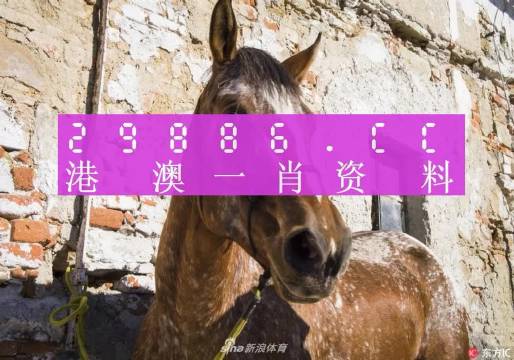 王中王曾人一肖中特免費，探尋神秘現(xiàn)象背后的真相，揭秘王中王曾人一肖中特現(xiàn)象，探尋神秘背后的真相