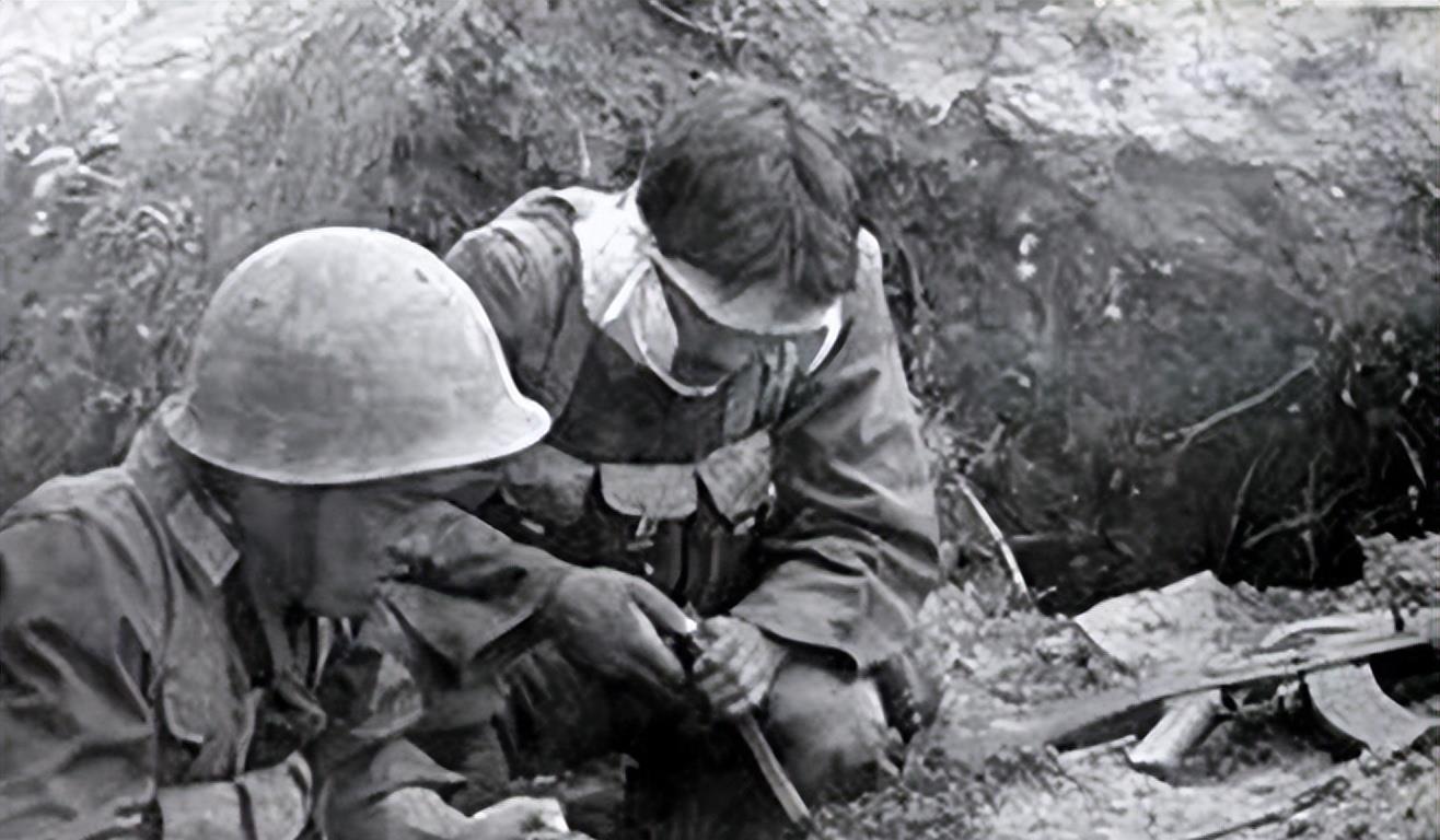 特種兵學(xué)校陣亡名單，榮耀與犧牲的交織，特種兵學(xué)校陣亡名單，榮耀與犧牲的碰撞