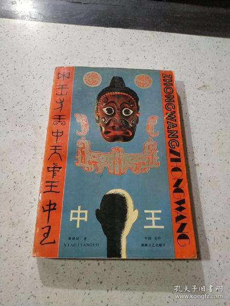 王中王資料一門肖中，深度解析與探討，王中王資料一門肖詳解與深度探討