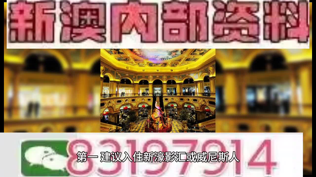 澳門王中王一肖中特馬的奧秘與魅力，澳門王中王一肖中特馬的奧秘與魅力揭秘