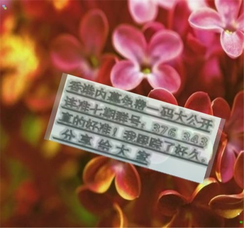 王中王六肖必中一期，揭秘彩票背后的秘密，揭秘彩票背后的秘密，王中王六肖必中一期彩票分析
