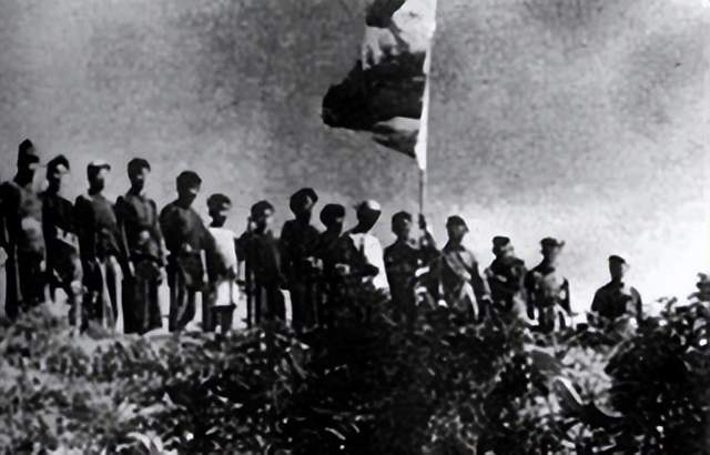 誰(shuí)解放海南島戰(zhàn)役簡(jiǎn)介，海南島戰(zhàn)役簡(jiǎn)介，解放之路的歷程