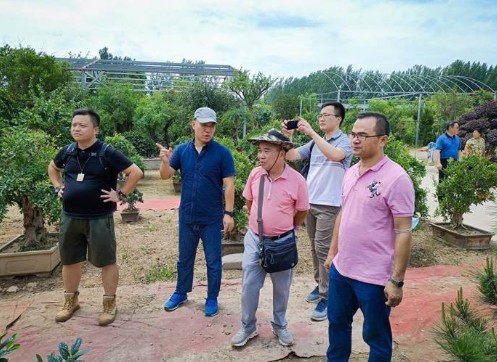 房曉峰個人資料詳解，房曉峰個人資料深度解析