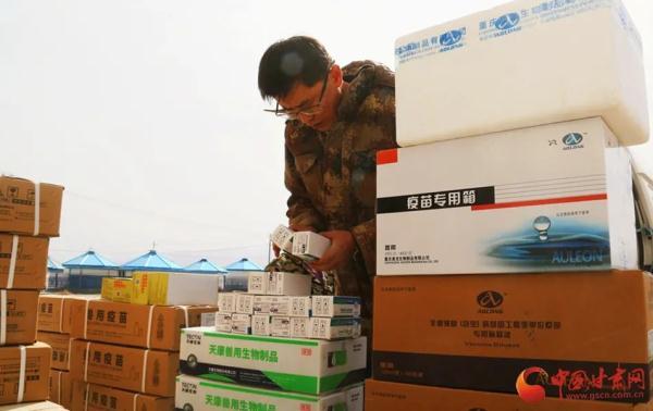 甘肅有海軍嗎？解析中國海軍建設(shè)與發(fā)展，甘肅與中國海軍建設(shè)，歷史與現(xiàn)狀解析