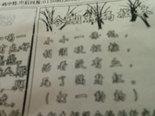 劉伯溫期期精選一肖，揭秘預(yù)測背后的故事與智慧，劉伯溫期期精選生肖預(yù)測背后的故事與智慧揭秘