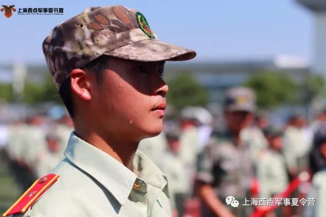 集團軍軍改番號前后對照，歷史變遷與未來展望，集團軍軍改番號歷史對照與未來展望，變遷軌跡與前瞻分析