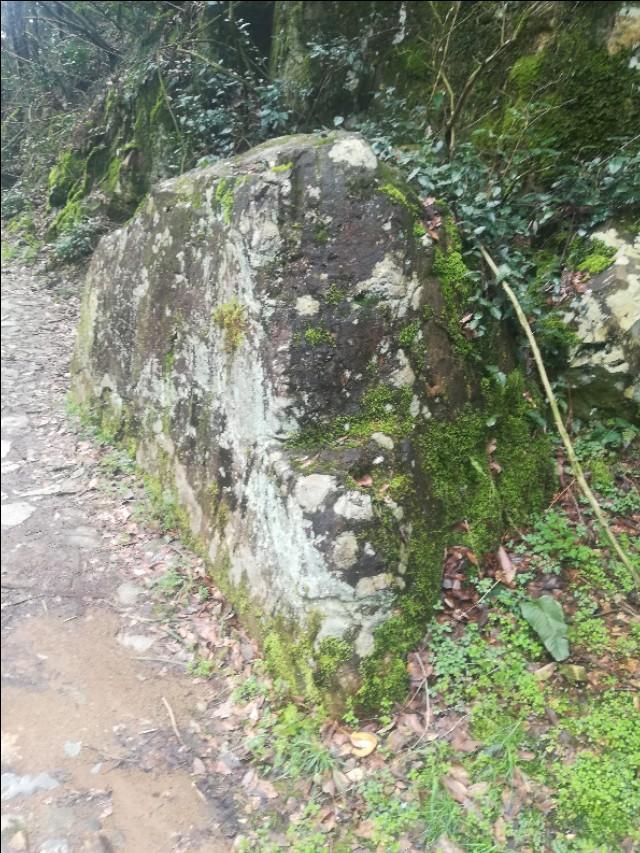 揭秘香港正版劉伯溫四不像一肖傳奇，揭秘劉伯溫四不像一肖傳奇，香港正版獨家揭秘！
