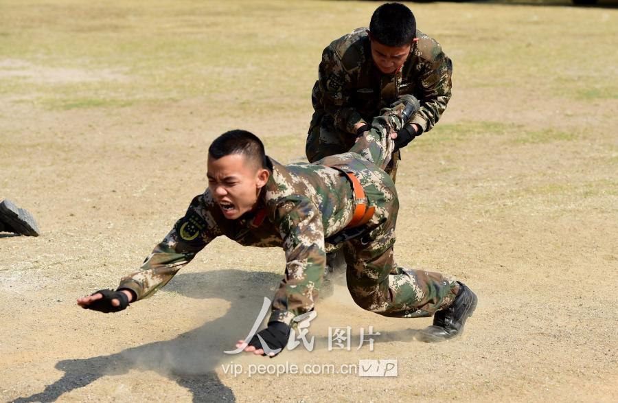 中國武警特種警察學(xué)院官網(wǎng)，培育精英的搖籃，中國武警特種警察學(xué)院官網(wǎng)，精英培育搖籃