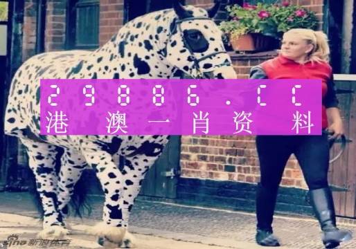 澳門王中王，一肖一特一中與180的神秘聯(lián)系，澳門王中王，神秘聯(lián)系揭秘——一肖一特一中與180的關(guān)聯(lián)