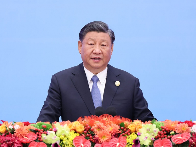 王中王特寫(xiě)論平特一肖的獨(dú)特魅力與卓越成就，王中王特寫(xiě)，平特一肖的獨(dú)特魅力與卓越成就解析
