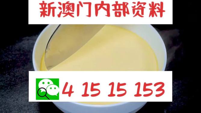 新澳一肖一馬，文化交融與多元發(fā)展的獨(dú)特魅力，新澳一肖一馬，文化交融與多元發(fā)展的獨(dú)特魅力探索