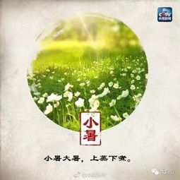 今天是三伏天的第幾天？關(guān)于三伏天的深度解析，三伏天的深度解析，今天是第幾伏日？