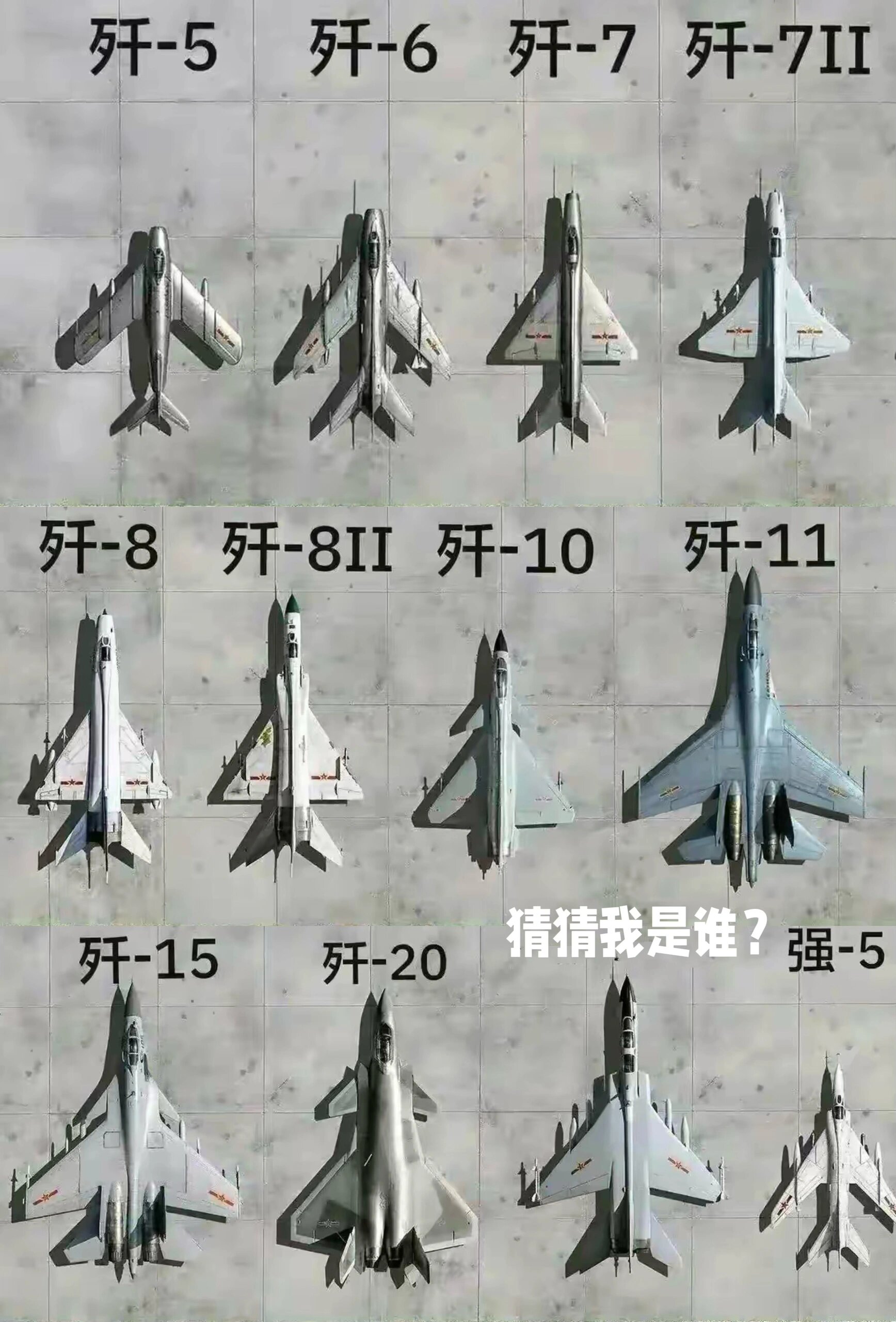 殲-11D的數(shù)量揭秘，中國空中力量的堅實支柱，揭秘殲-11D數(shù)量，中國空中力量的核心支柱力量