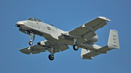揭秘A-10攻擊機(jī)的滿載戰(zhàn)力，空中霸主的不屈之姿，A-10攻擊機(jī)的滿載戰(zhàn)力揭秘，空中霸主的頑強(qiáng)戰(zhàn)力展示