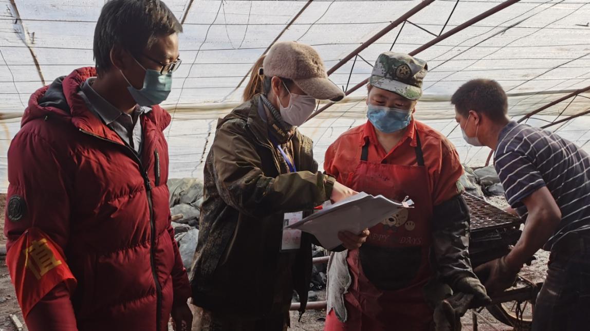 國民黨二十二個兵團(tuán)的實力分析，國民黨二十二個兵團(tuán)的實力詳解