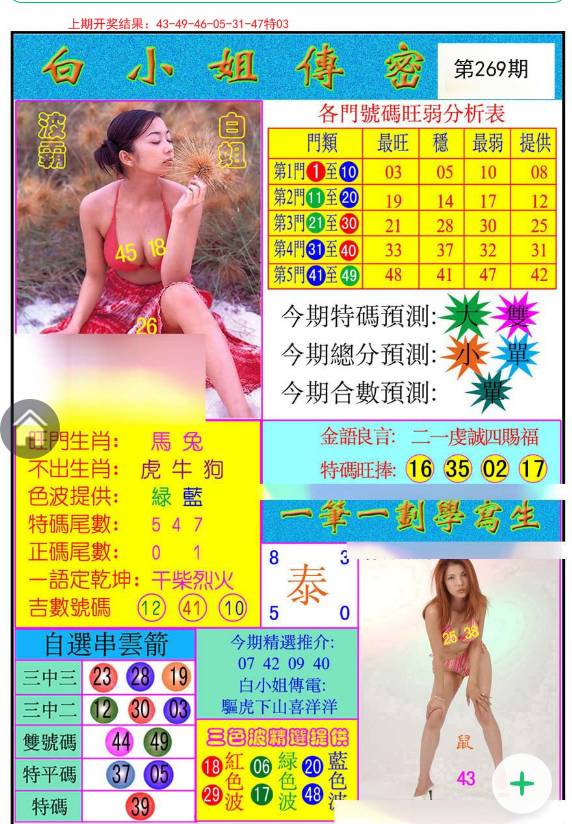 白小姐王中王與待一肖的奇妙緣分，白小姐王中王與待一肖的奇緣