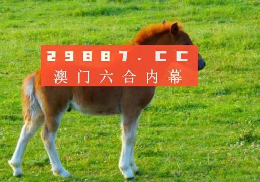 新澳門一肖一碼中恃，探索與解讀，澳門新一期一肖一碼解讀與探索