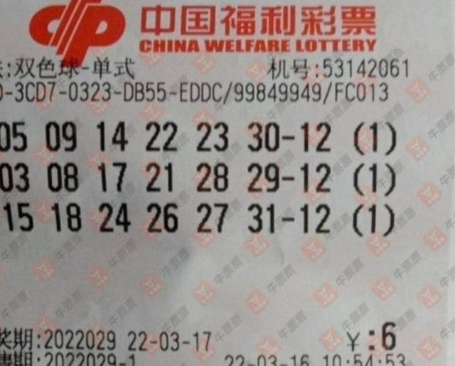 揭秘029期王中王平特一肖的神秘面紗，揭秘王中王平特一肖的神秘面紗