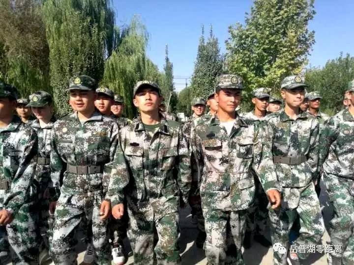 飛揚軍事經(jīng)典片段，英勇無畏的戰(zhàn)斗瞬間，飛揚軍事經(jīng)典片段，英勇無畏的戰(zhàn)斗瞬間回顧